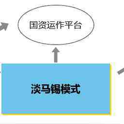 淡马锡模式