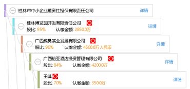 桂林市中小企业融资性担保有限责任公司