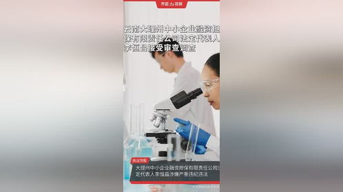 云南大理州中小企业融资担保公司高管被查，中小企业融资生态引关注