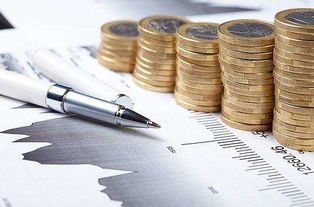 展达视角丨中小企业融资之道及风险破局