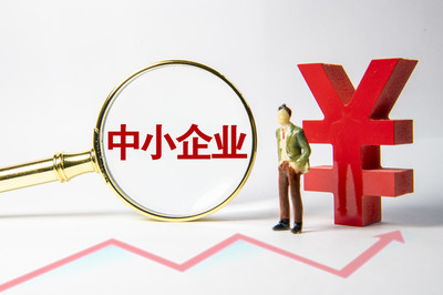 代表委员议国是|韩沂委员 破解中小微企业融资难，需建立完善考核机制、打通部门间信息壁垒
